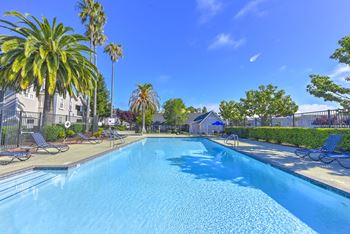 Swimming pool area
